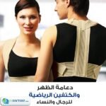 حزام الظهر الكامل