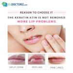 Eastline Peach Lip Balm | Soft, Natural Hydration All Day - Image 2