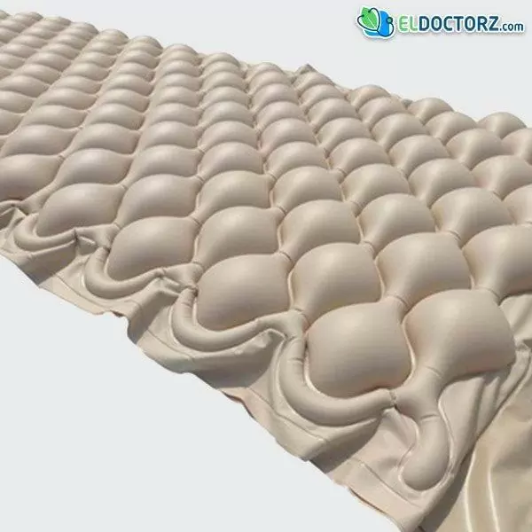 المرتبة الشرائح